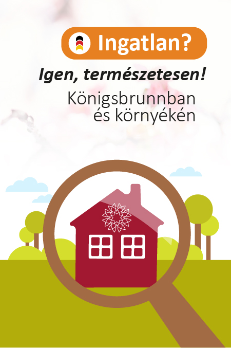 Any's Office Management